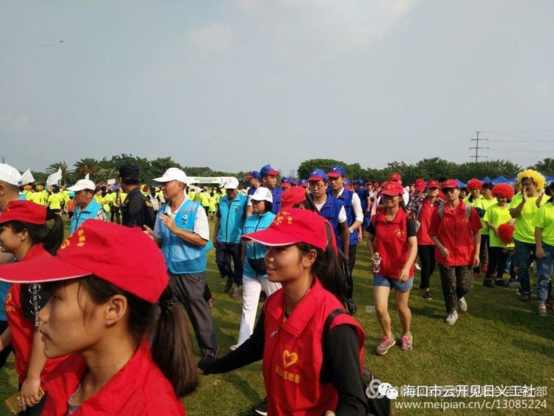 定安公益组织